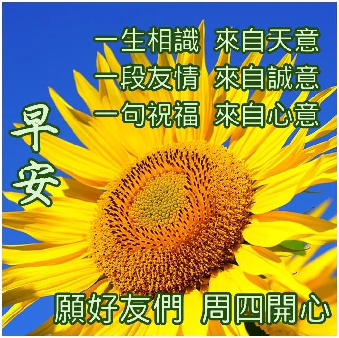 早安图片带字 早安祝福语句子