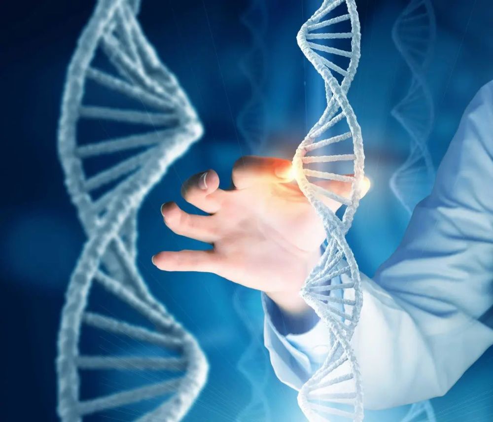 精准医疗时代,基因检测有哪些意义和价值?