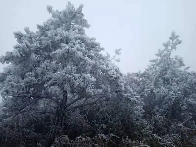 刚刚!福建又一地下雪!接下来天气有变