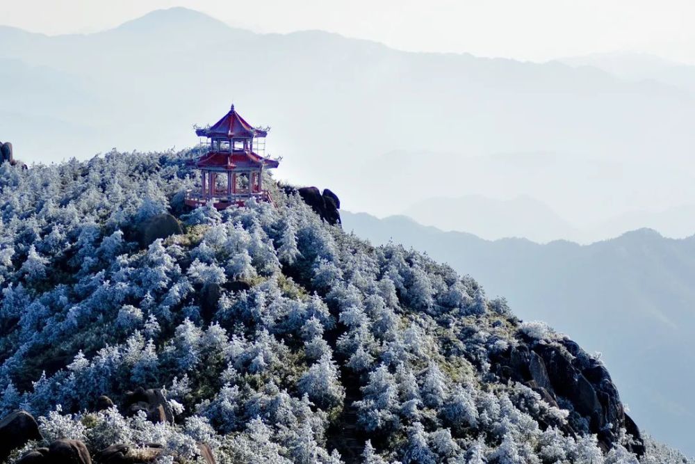 美丽冻人德化九仙山迎来今冬首场雾凇最新美图拿去刷朋友圈