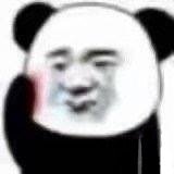 一组熊猫流泪无字原图表情包