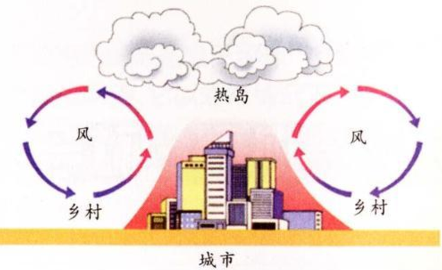 不祥之兆加拿大上空上万只乌鸦盘旋近14小时专家热岛效应