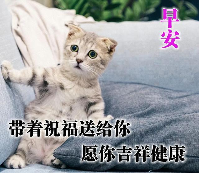 拼搏努力正能量的励志句子,早安唯美大气的暖心语录