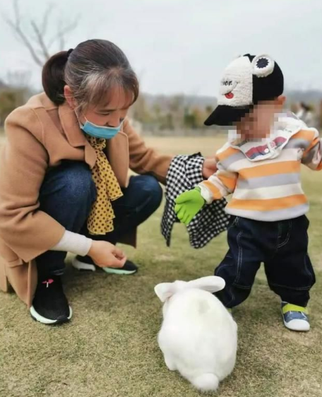 杭州一岁女孩被兔子咬伤伤口不断渗血爸爸的做法很明智