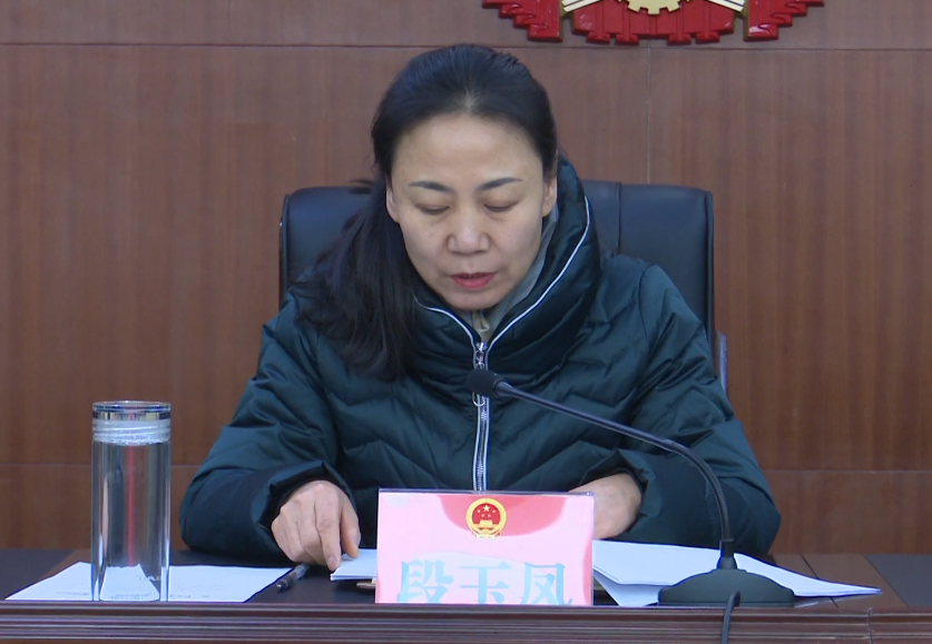 段玉凤指出