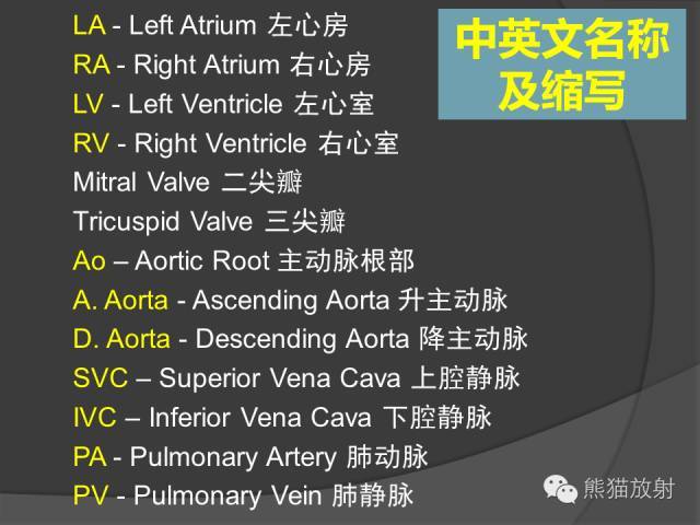 冠状动脉系统解剖,cta解剖,分段及中英文名称对照