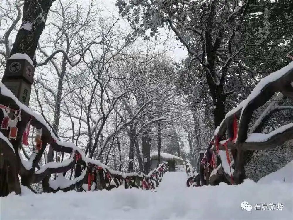 当雪遇见了鬼谷岭石泉这个地方上演了林海雪景奇观美成了仙境