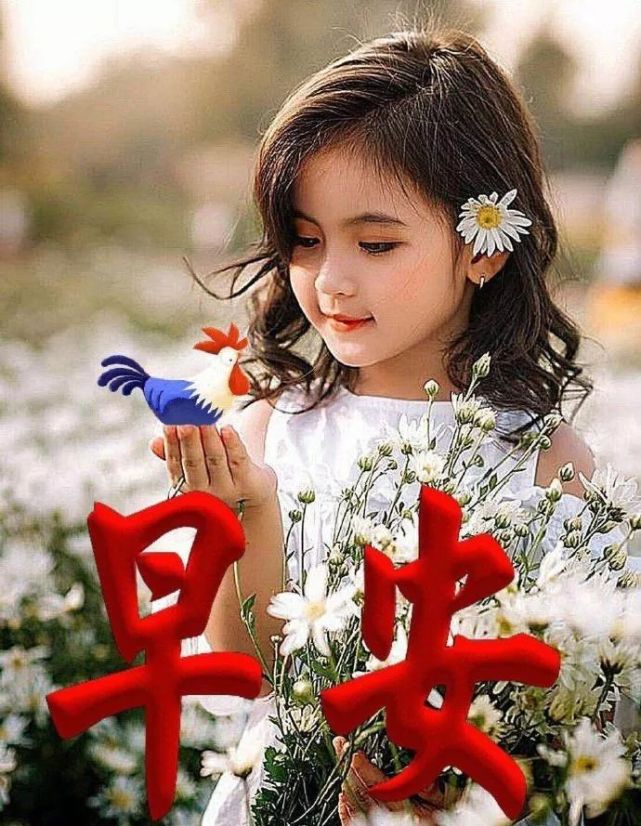 12月最美早安鲜花图片带字 寒冷冬季最暖心的早上好问候语祝福微信