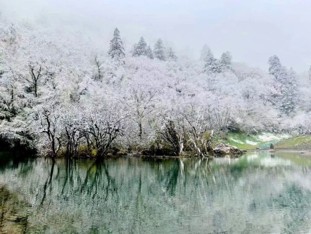 黄泥|高山|石壁|唯美|阿尔沟|村庄|林海|山谷|汶川|玉树