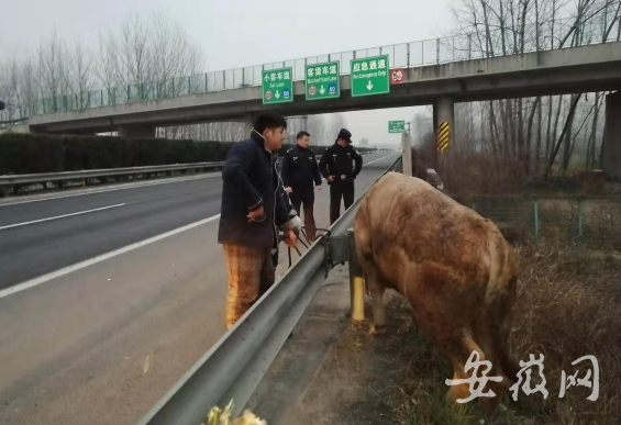 曹县庄寨镇潘寨村人口_菏泽曹县庄寨镇图片(2)