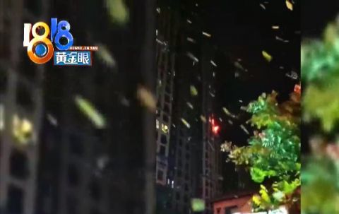 梦见下雨成灾在楼上看有一尺多高，一场梦境的深层解读