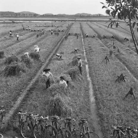 1949年建国时的GDP_1949年, 新中国刚成立, 中国GDP最高的十个城市, 我只服上海 排名 中国GDP 大连(2)