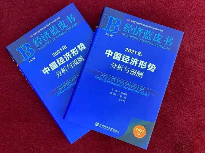 2021年经济蓝皮书发布会暨中国经济形势报告会在京召开