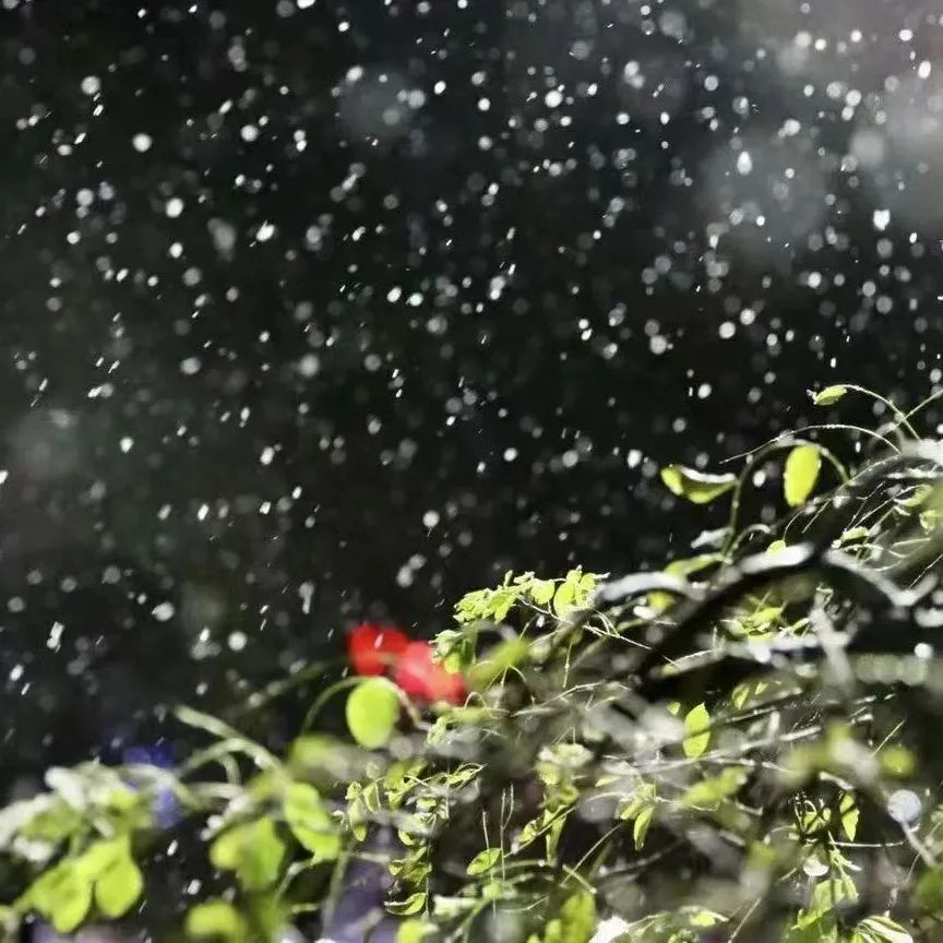 本周气温总体偏低,周四或有雨夹雪