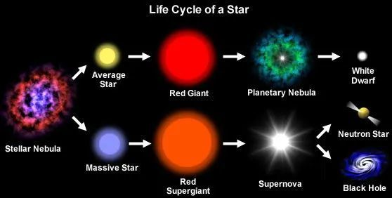 参宿四未来超新星爆发后是变成黑洞还是中子星还是白矮星