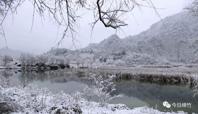 风吹雪舞染寒梅!绵竹第一波雪后美景图出炉