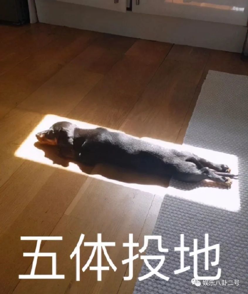 邓超花式秀恩爱,对孙俪的字佩服到五体投地,小细节曝光家庭地位