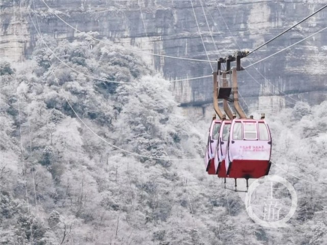 近日,重庆南川金佛山的雪刷遍了网友的朋友圈.