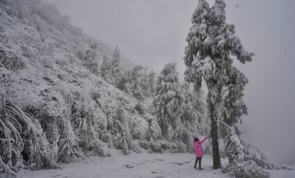 雪景太美!新一波泸州冰雪美图来了!