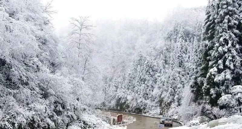 泸州下雪了!雪景,雾凇超美!还发布了天气预警