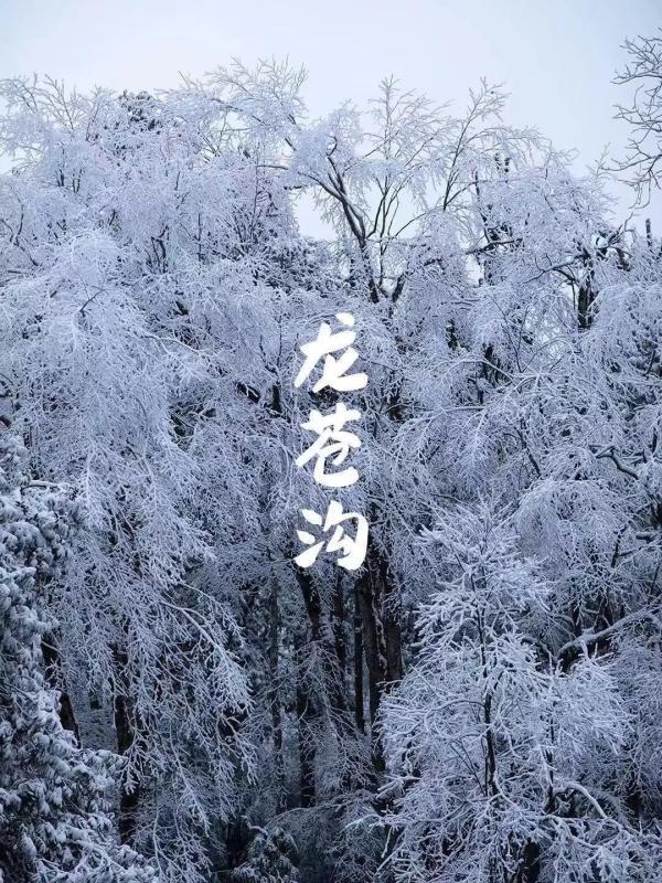 雅安多个景区下雪了!美景,美食一样也不少