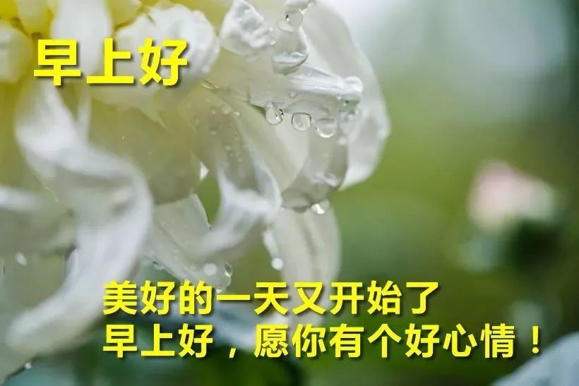 微信最美早上好动态祝福图片带字,温暖人心的早上好问候语录送朋友