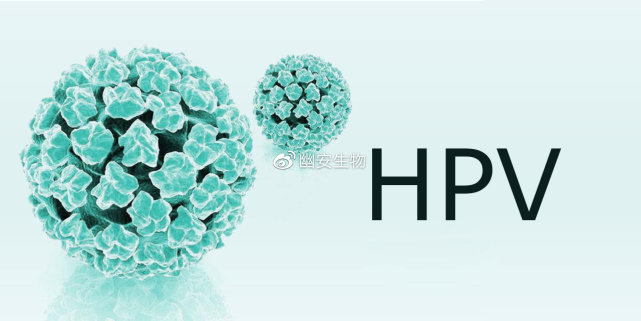 hpv是一种病毒,而不是一种疾病.