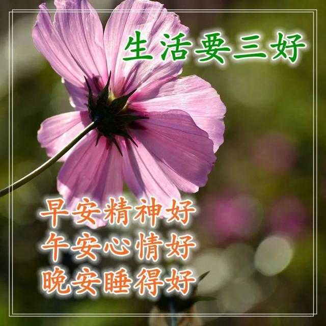 清晨聊天不用打字的早安图片 早安心语暖心的励志语录