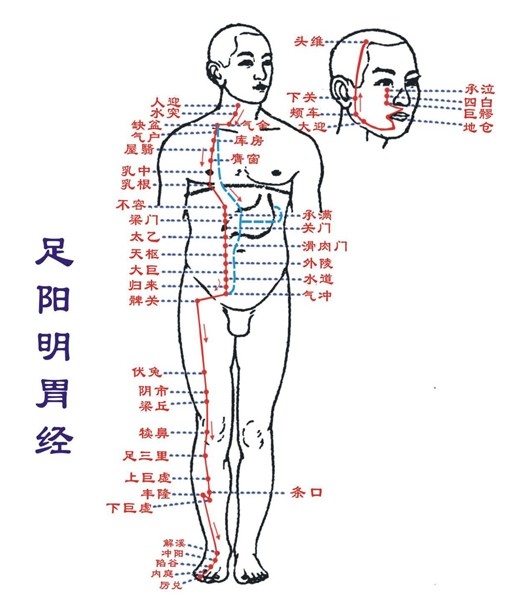 在健身气功功法动作中,对手阳明大肠经和主要腧穴有重要刺激作用的有