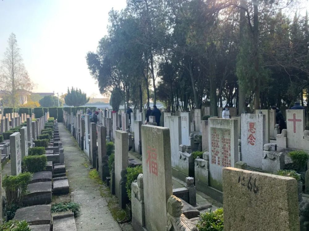 枫泾镇人口_枫泾镇地图(3)