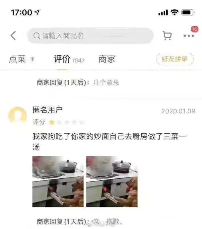 不什么芥什么的成语_芥兰长什么样子图片(3)