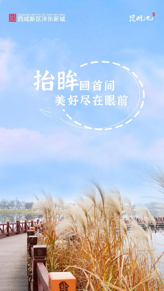 快至人口的意思_人口普查(3)