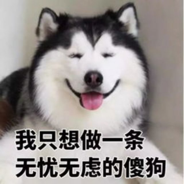 沙雕表情包l主动罚站
