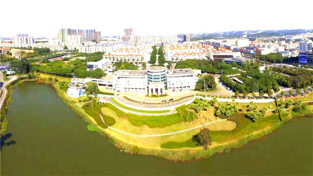 2020年中国GDP十强镇_2020gdp十强(3)