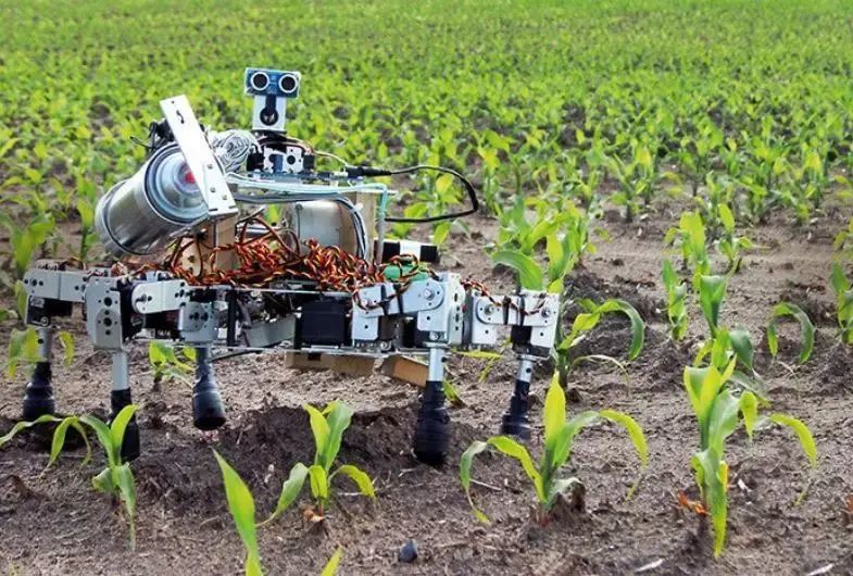 从育苗种植到采收分拣这些机器人搞定农业生产全流程