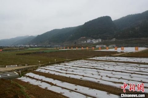 正安县人口有多少_正安概况