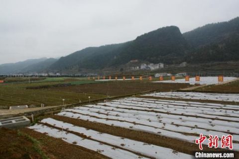 正安县人口多少_正安概况(2)