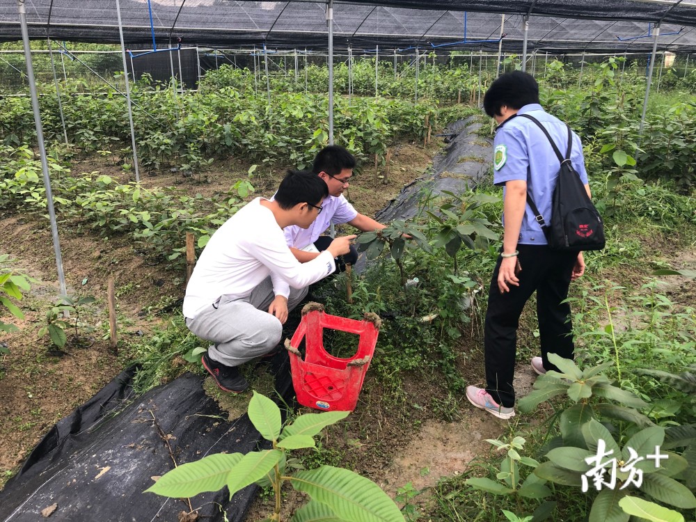 来自江门市的学员曾圣钧独树一帜,在销售方面做得风生水起,2017年,曾