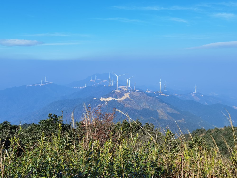 广州从化通天蜡烛冬天来了风景不一样,开花季节最好每年4月份来