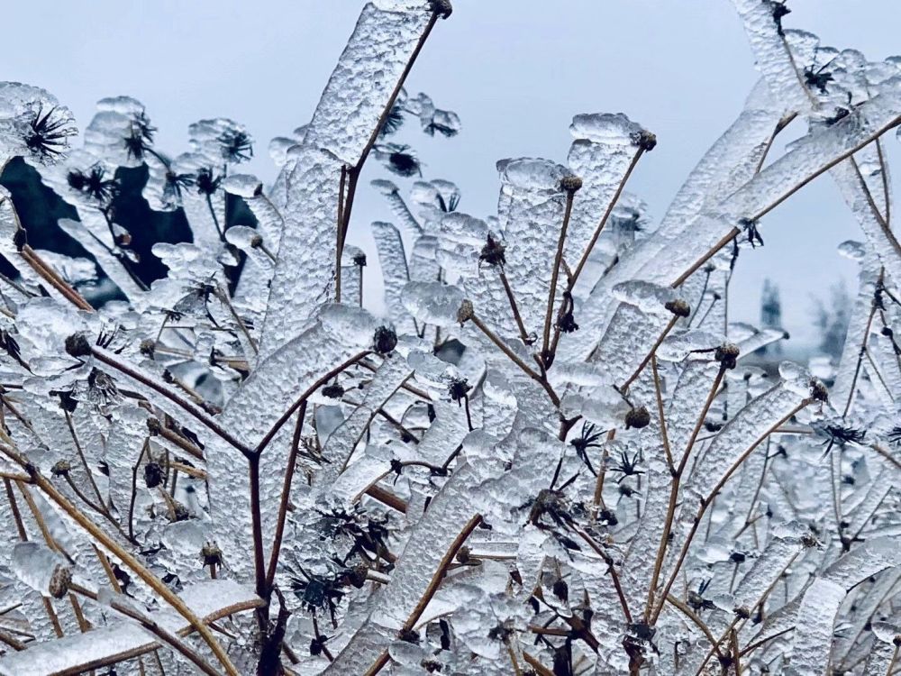 云南局部区域首次降雪 冰天雪地宛如童话世界