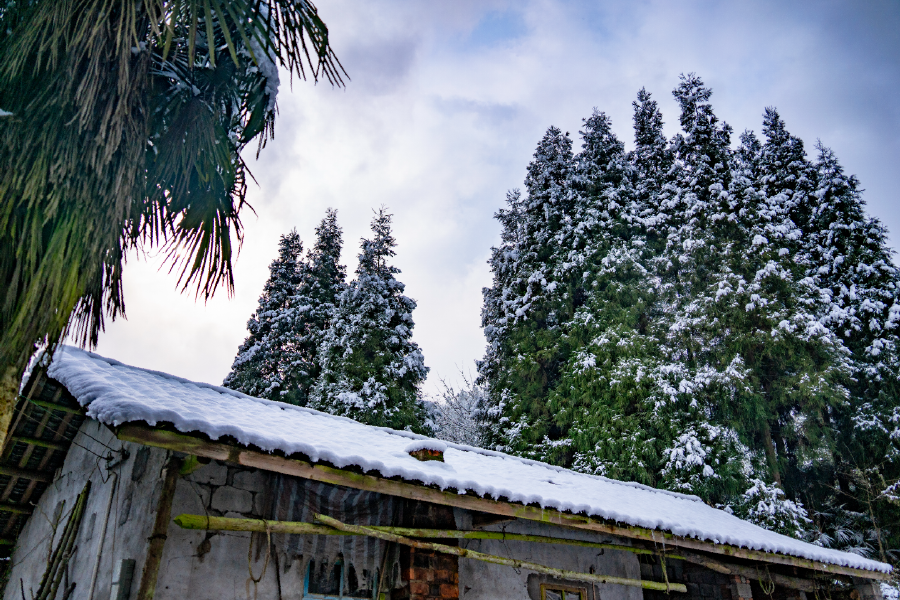 下雪啦!绵竹一大波雪景美图来袭,你去看了吗?