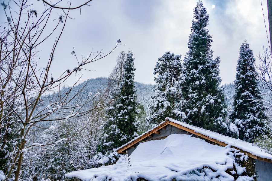 知晓绵竹身边大小趣事 超 15万朋友已关注 下雪的时候 是冬天最美的