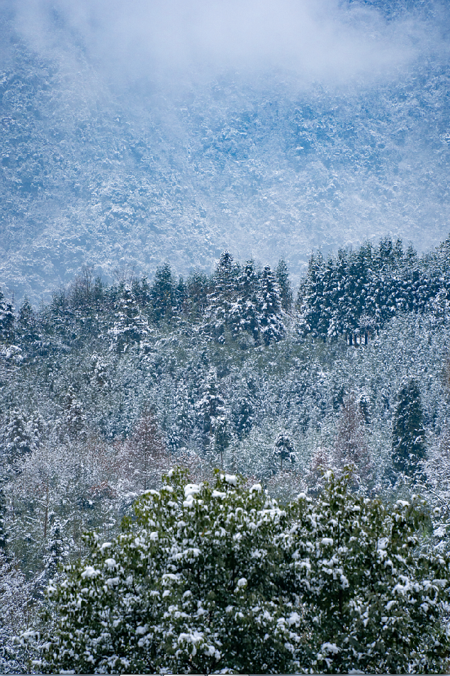 下雪啦!绵竹一大波雪景美图来袭,你去看了吗?