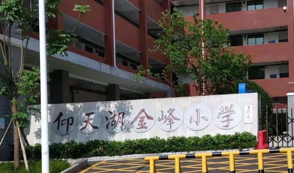 仰天湖金峰小学实景图(图片来源于网络) 如果说自然资源在其他地段