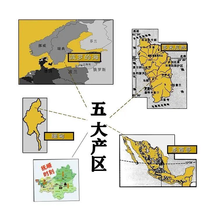 《琥珀蜜蜡超级攻略之三:如何识别琥珀蜜蜡产地,看五湖四海"分布图"》