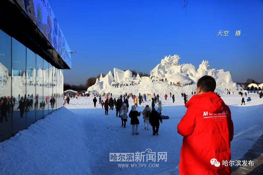 冰雕雪砌,流光溢彩|缤纷冰雪季大幕开启,哈尔滨欢迎你