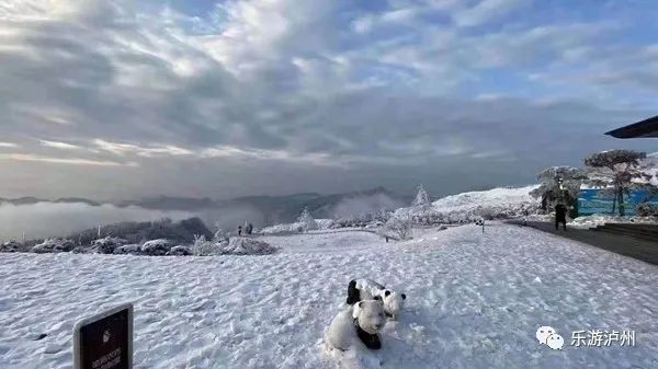 泸州赏雪攻略推荐叙永罗汉林 云贵川游客都来了