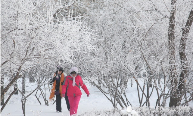 今年春节会下大雪吗 冬至到,农村农民说 干冬湿年 是什么意思