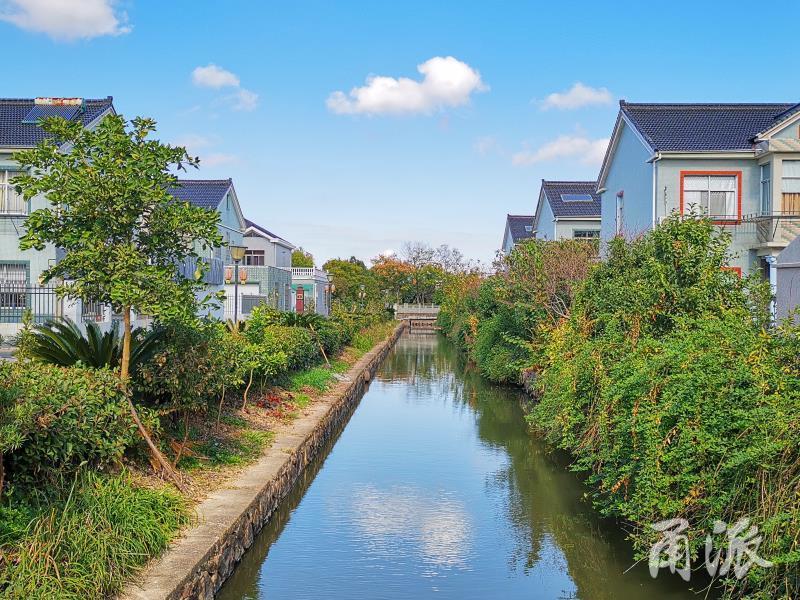 今天推出第四十一篇《美丽乡村展新颜 秀美和谐新家园,聚焦杭州湾