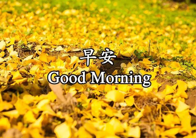 早上发朋友圈的正能量短句 早安唯美祝福问候图片
